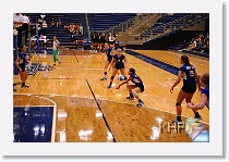 Set 2 * (131 Slides)